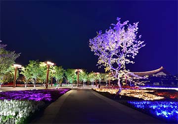 2019北京世界园艺博览会航拍、夜景--VR漫游